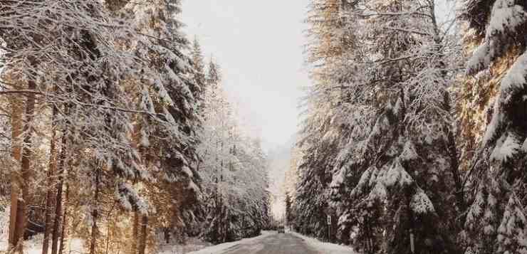 Зимние дороги просто прекрасны