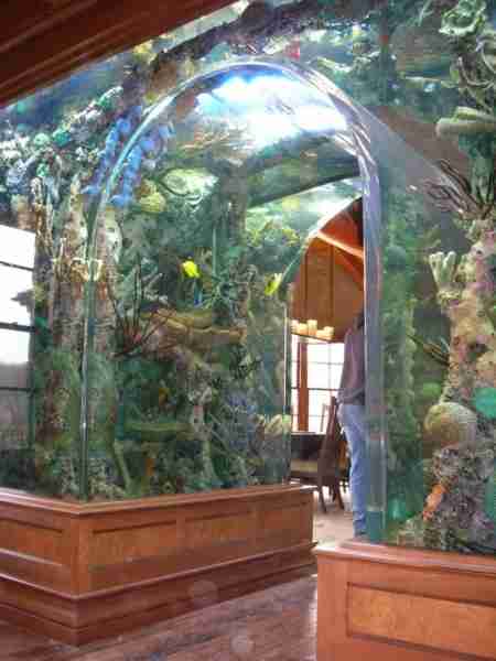 Экзотика в собственном доме: как аквариум меняет интерьер (ФОТО)