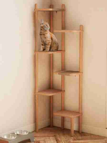 Коты — украшение интерьера: нестандартные варианты мебели для людей и животных (ФОТО)